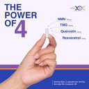 genex-formulas-nmn-500mg-4-in-1-with-tmg-2.jpg