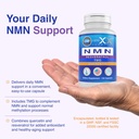 genex-formulas-nmn-500mg-4-in-1-with-tmg-4.jpg
