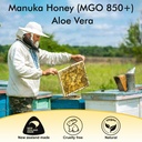 manuka-honey-for-wounds-speed-up-healing-6.jpg