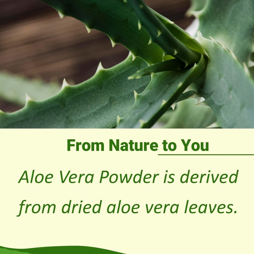 mi-nature-100-aloe-vera-powder-aloe-barb-2.jpg