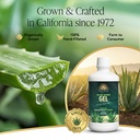 real-aloe-super-gel-32-fl-oz-organic-cal-2.jpg