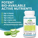 aloe-vera-supplement-made-with-organic-a-2.jpg