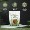 gade-nutrition-ginkgo-biloba-extract-pow-3.jpg