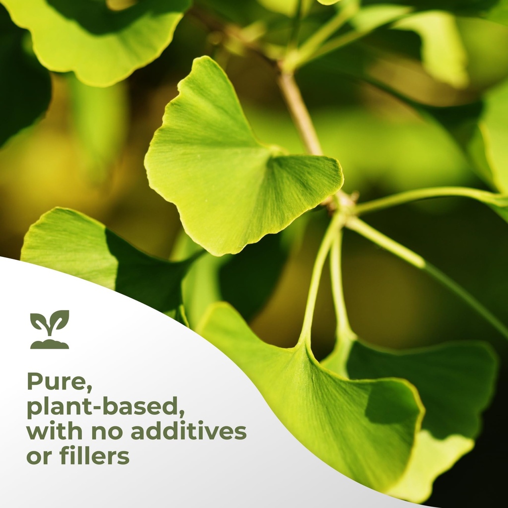 gade-nutrition-ginkgo-biloba-extract-pow-5.jpg
