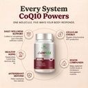 coq10-800mg-coenzyme-q10-supplement-120--4.jpg