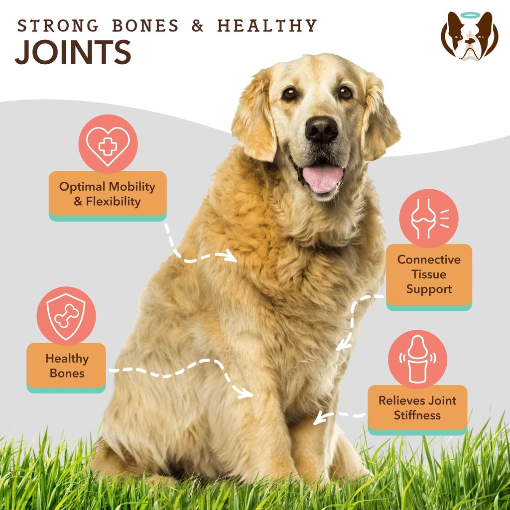 natural-dog-company-dog-supplements-for--5.jpg