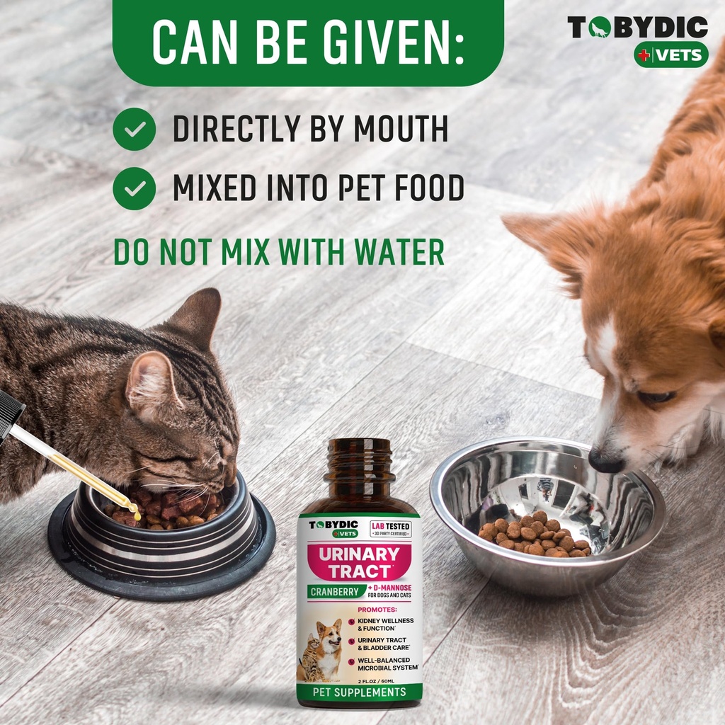 cat-dog-uti-treatment-urinary-tract-infe-5.jpg
