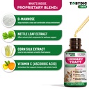 cat-dog-uti-treatment-urinary-tract-infe-3.jpg