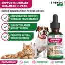cat-dog-uti-treatment-urinary-tract-infe-2.jpg