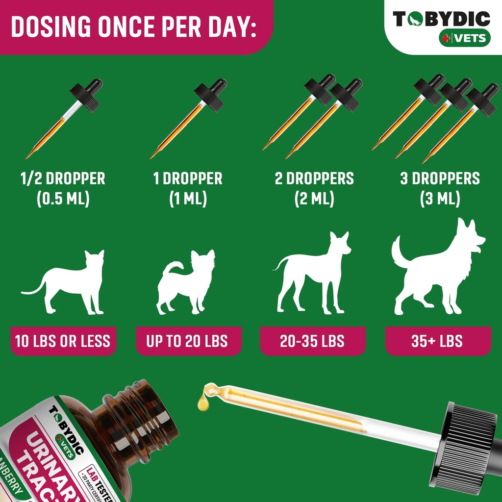 cat-dog-uti-treatment-urinary-tract-infe-6.jpg