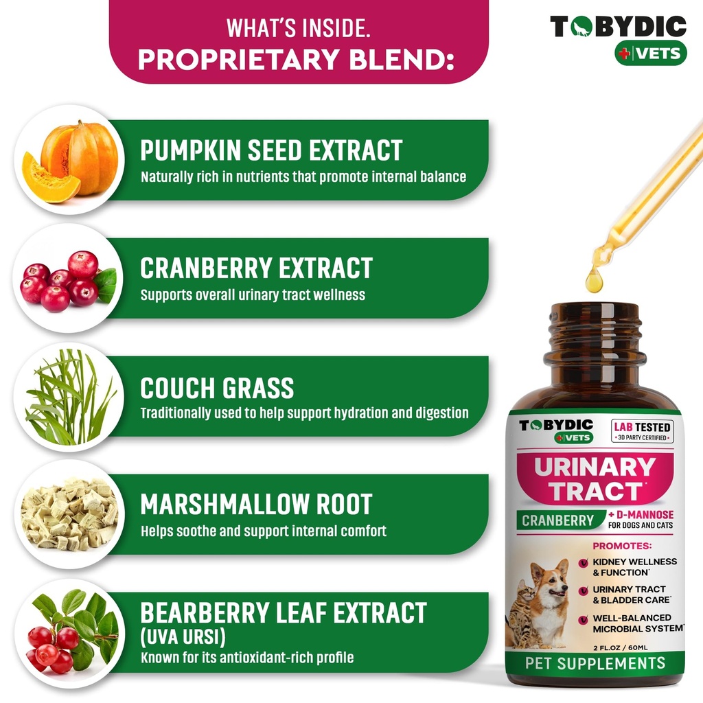 cat-dog-uti-treatment-urinary-tract-infe-4.jpg