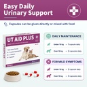 natural-uti-treatment-for-cats-dogs-anti-5.jpg