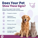 natural-uti-treatment-for-cats-dogs-anti-2.jpg