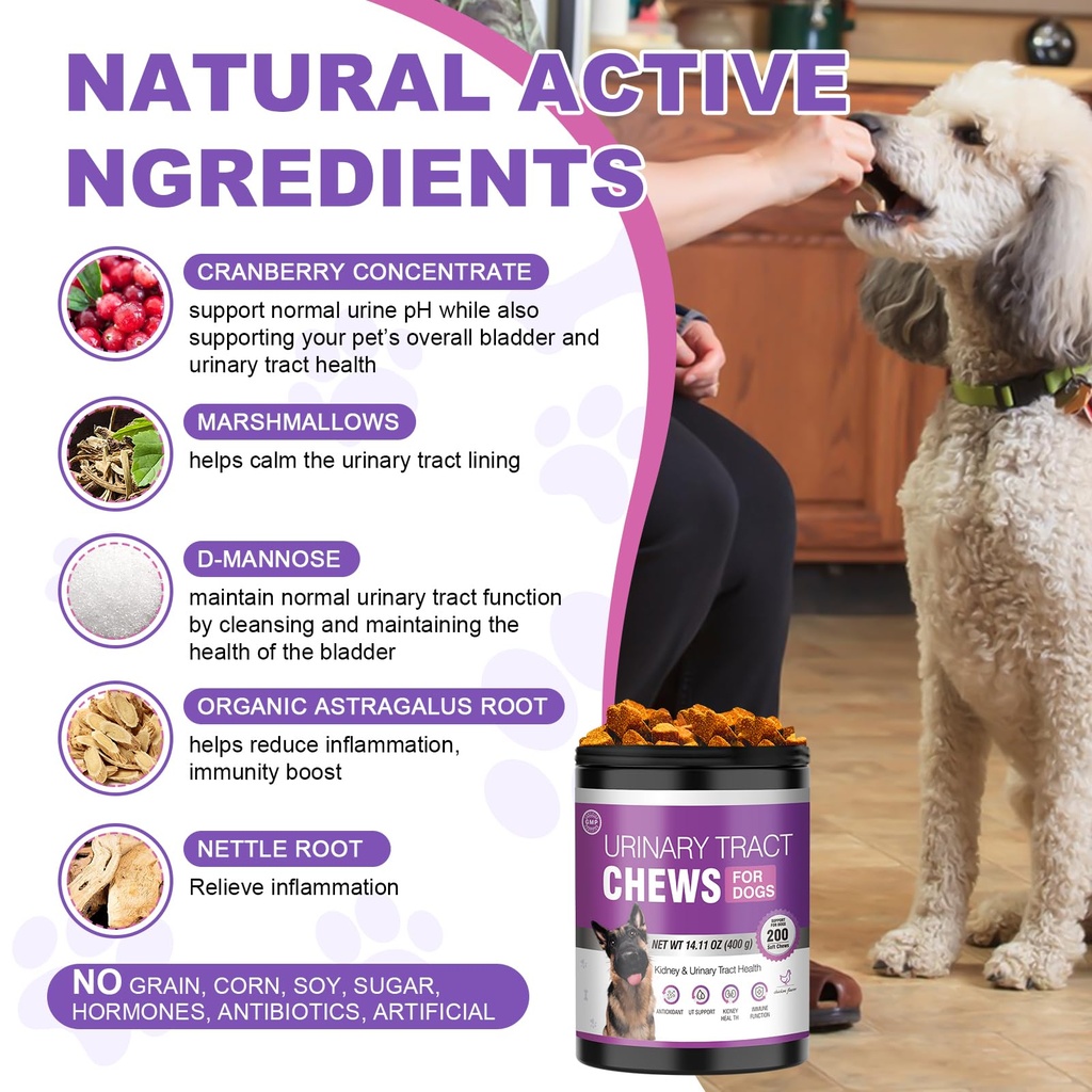 dog-uti-treatment-200-chews-cranberry-su-4.jpg