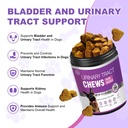 dog-uti-treatment-200-chews-cranberry-su-2.jpg