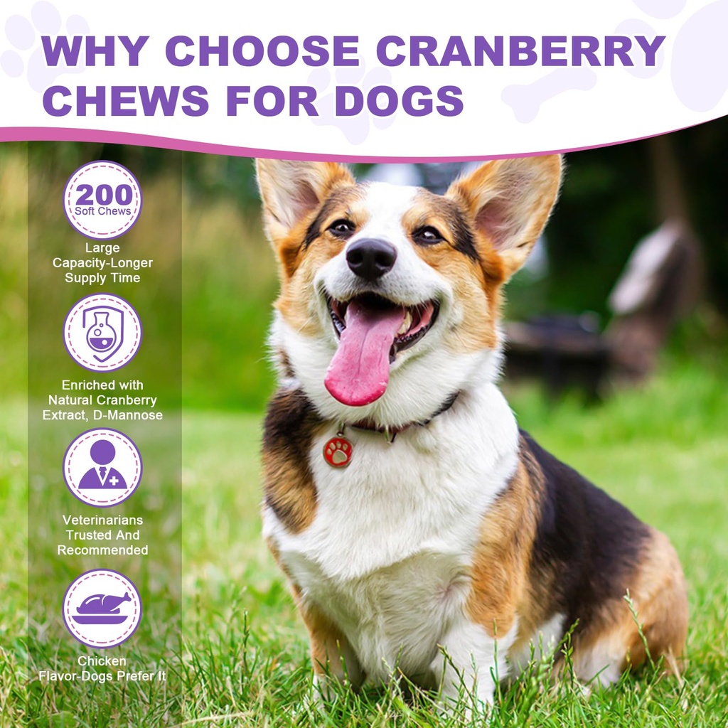 dog-uti-treatment-200-chews-cranberry-su-6.jpg