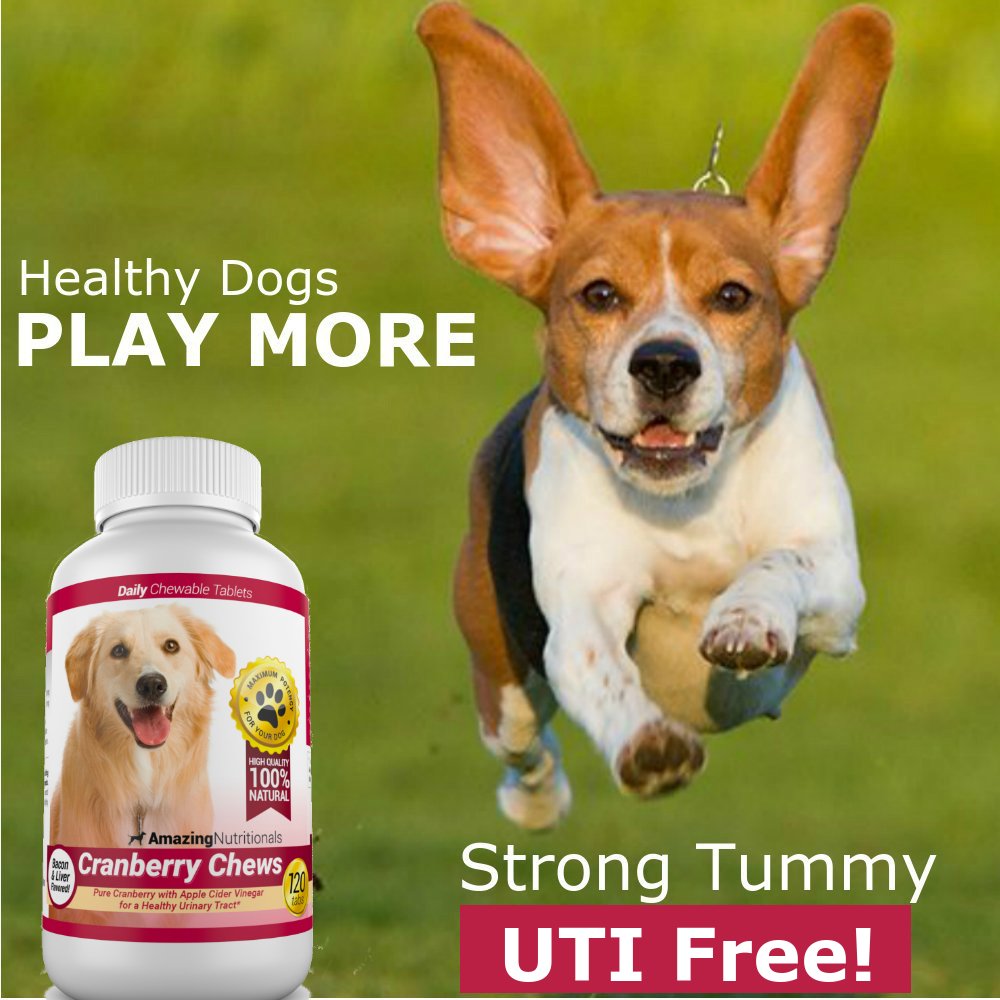 amazing-cranberry-supplement-for-dogs-ur-4.jpg