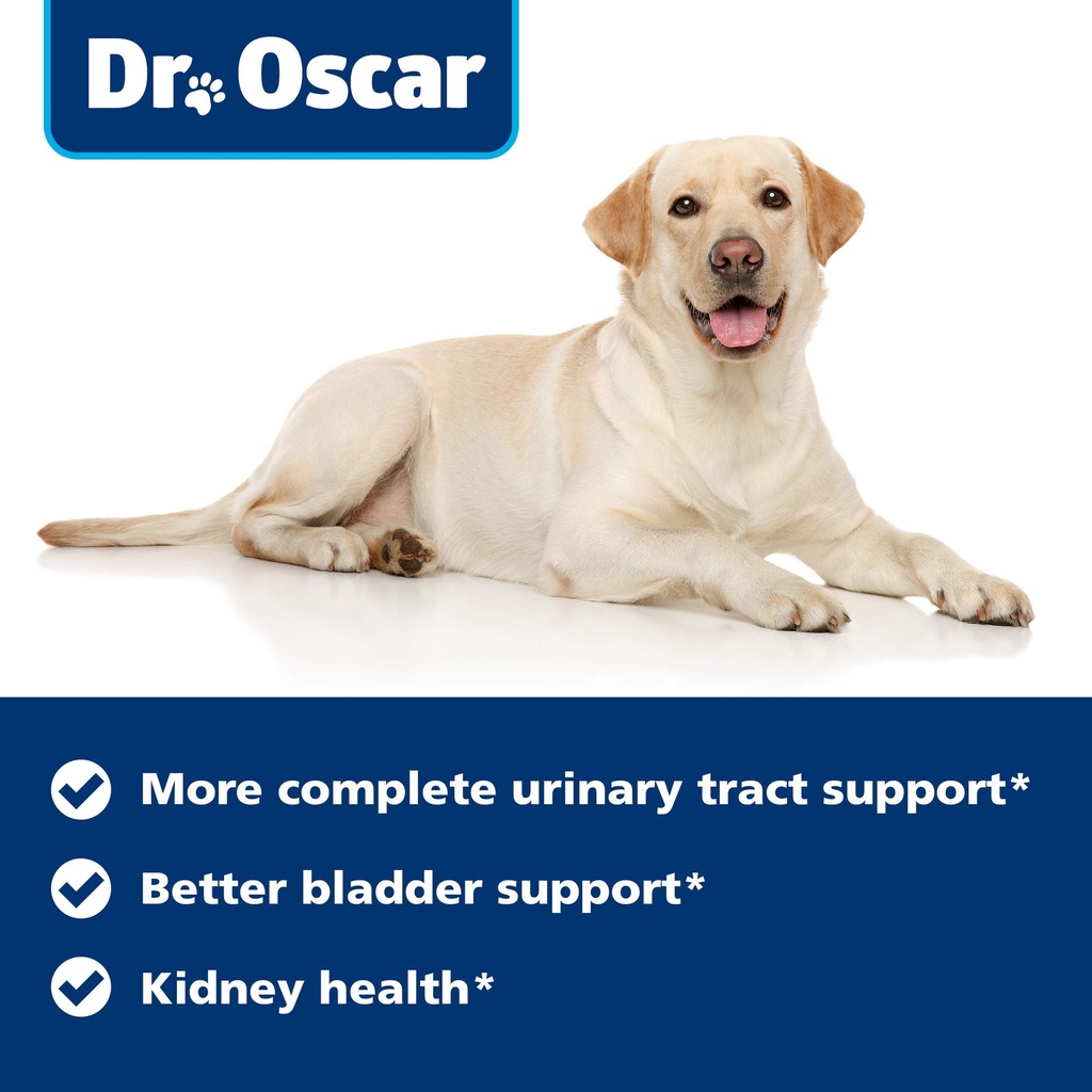 dog-uti-treatment-medicine-for-dog-bladd-6.jpg