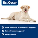dog-uti-treatment-medicine-for-dog-bladd-6.jpg