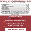 dog-uti-treatment-cranberry-supplement-f-2.jpg