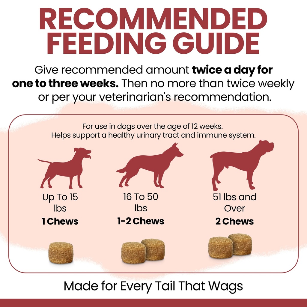 dog-uti-treatment-cranberry-supplement-f-5.jpg