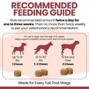 dog-uti-treatment-cranberry-supplement-f-5.jpg