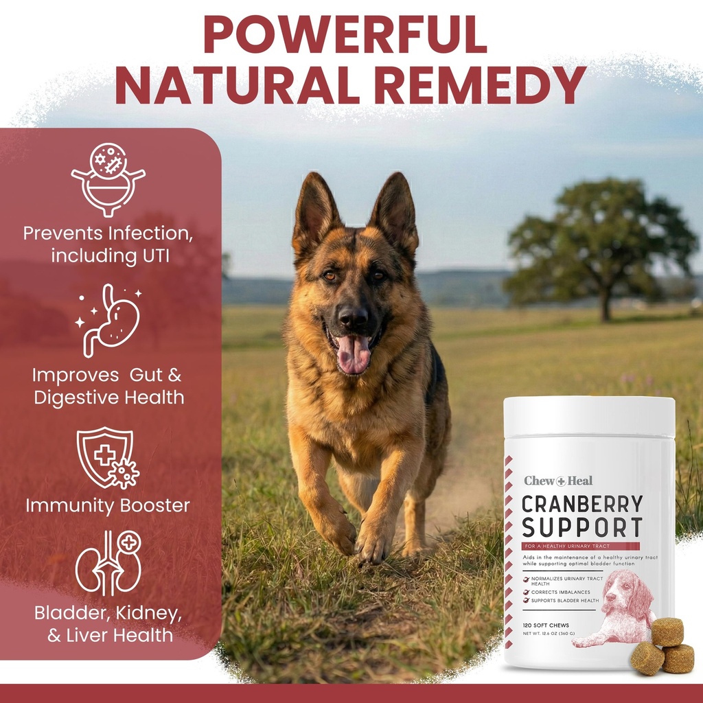 dog-uti-treatment-cranberry-supplement-f-3.jpg