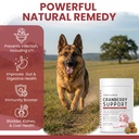 dog-uti-treatment-cranberry-supplement-f-3.jpg
