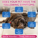 cat-dog-natural-urinary-tract-infection--3.jpg