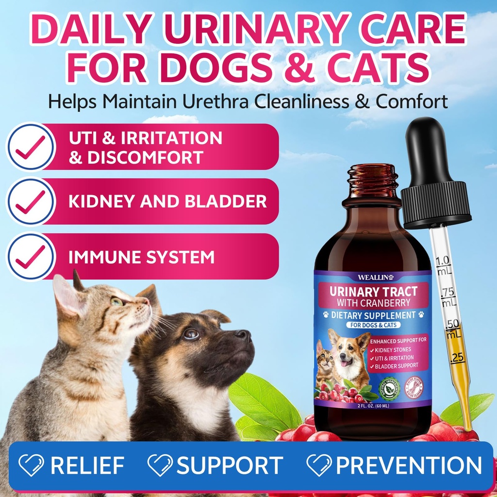 cat-dog-natural-urinary-tract-infection--2.jpg