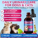 cat-dog-natural-urinary-tract-infection--2.jpg