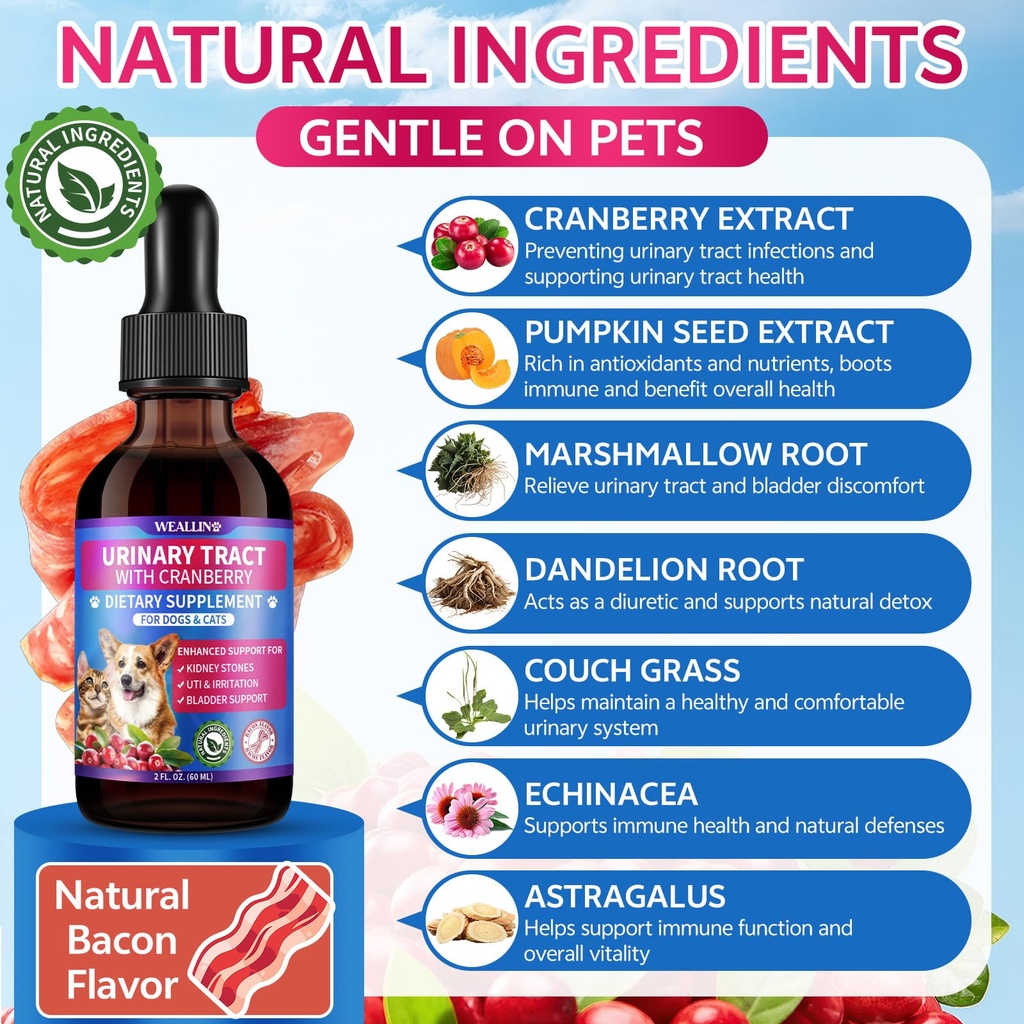 cat-dog-natural-urinary-tract-infection--4.jpg
