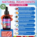 cat-dog-natural-urinary-tract-infection--4.jpg