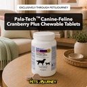 cat-dog-uti-treatment-cranberry-suppleme-2.jpg