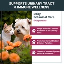 maxbuddy-natural-uti-treatment-support-c-2.jpg