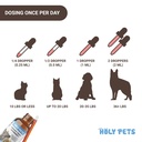 natural-uti-medicine-for-cats-dogs-urina-5.jpg