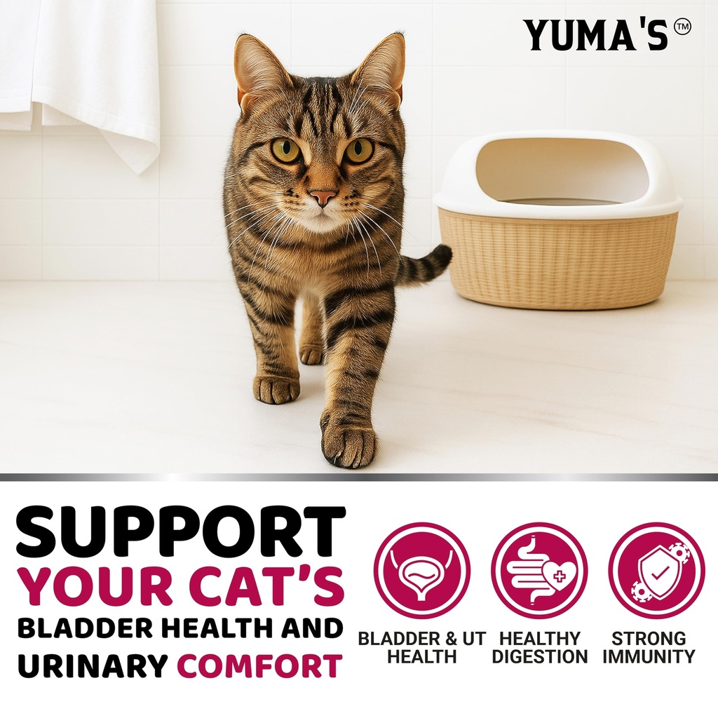 cat-urinary-tract-health-cranberry-suppl-4.jpg