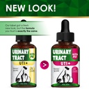 at-urinary-tract-infection-treatment-wit-2.jpg