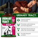 at-urinary-tract-infection-treatment-wit-4.jpg