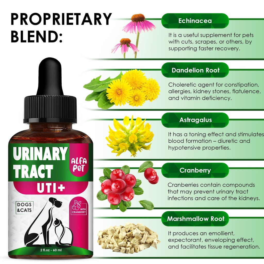 at-urinary-tract-infection-treatment-wit-3.jpg