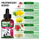 at-urinary-tract-infection-treatment-wit-3.jpg