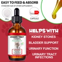 feline-urinary-tract-health-cat-uti-reme-2.jpg