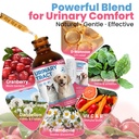 cat-uti-treatment-dog-urinary-tract-infe-2.jpg