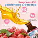 cat-uti-treatment-dog-urinary-tract-infe-5.jpg