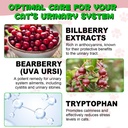 urinary-tract-for-cats-natural-cat-urina-3.jpg