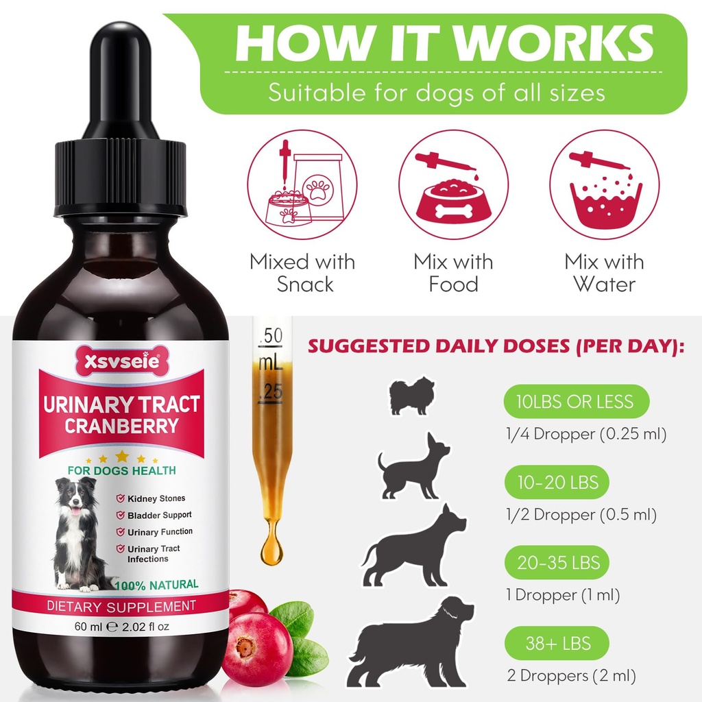 dog-uti-treatment-xsvseie-urinary-tract--6.jpg