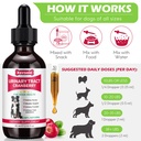 dog-uti-treatment-xsvseie-urinary-tract--6.jpg
