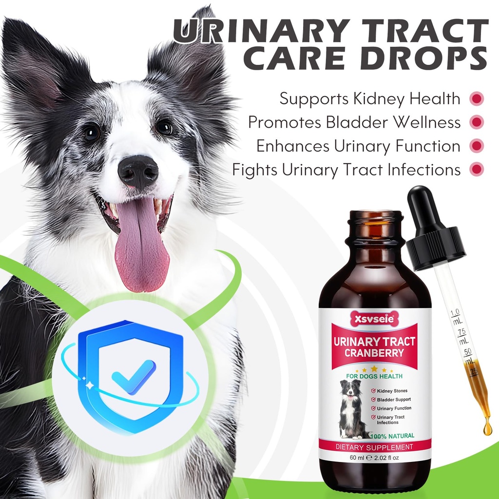 dog-uti-treatment-xsvseie-urinary-tract--2.jpg