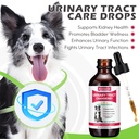 dog-uti-treatment-xsvseie-urinary-tract--2.jpg