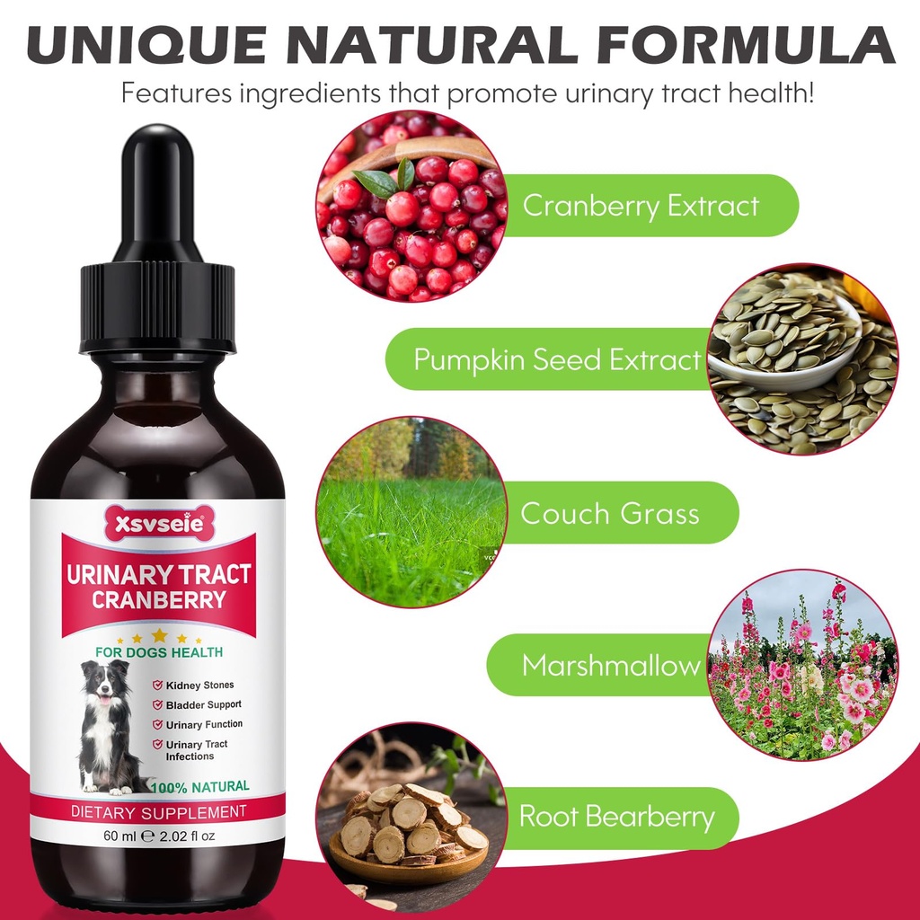 dog-uti-treatment-xsvseie-urinary-tract--3.jpg